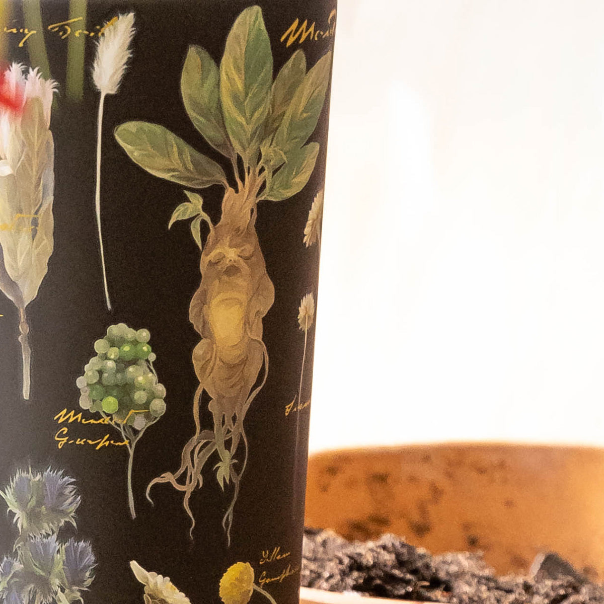 harry-potter-cold-cup-r5 Herbology-3.jpg