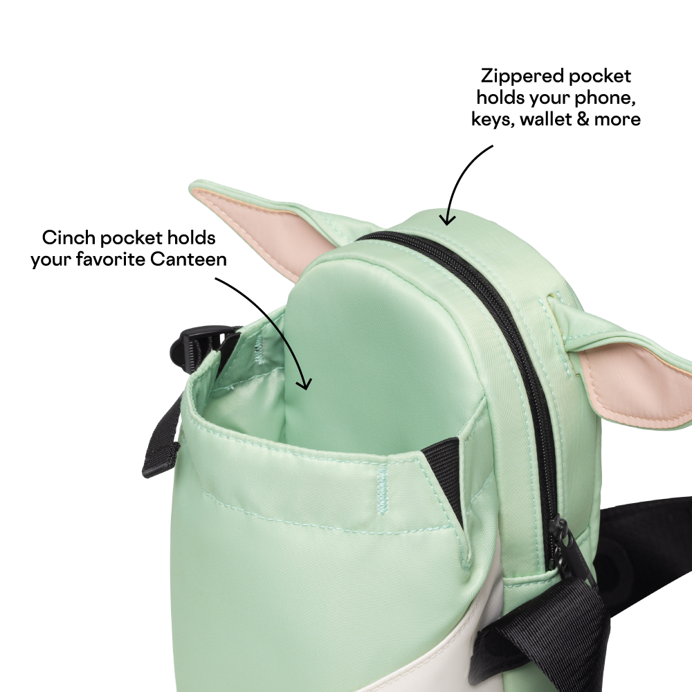 disney-sling-b9 53593b3e49e2--Sling-PDP-4.png