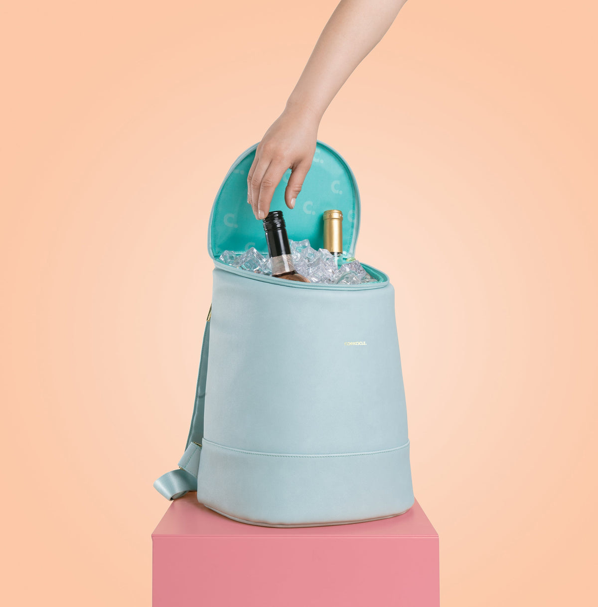 eola-bucket-cooler-bag-m1 a405954e83cf--EOLA-Bucket-copy.jpg