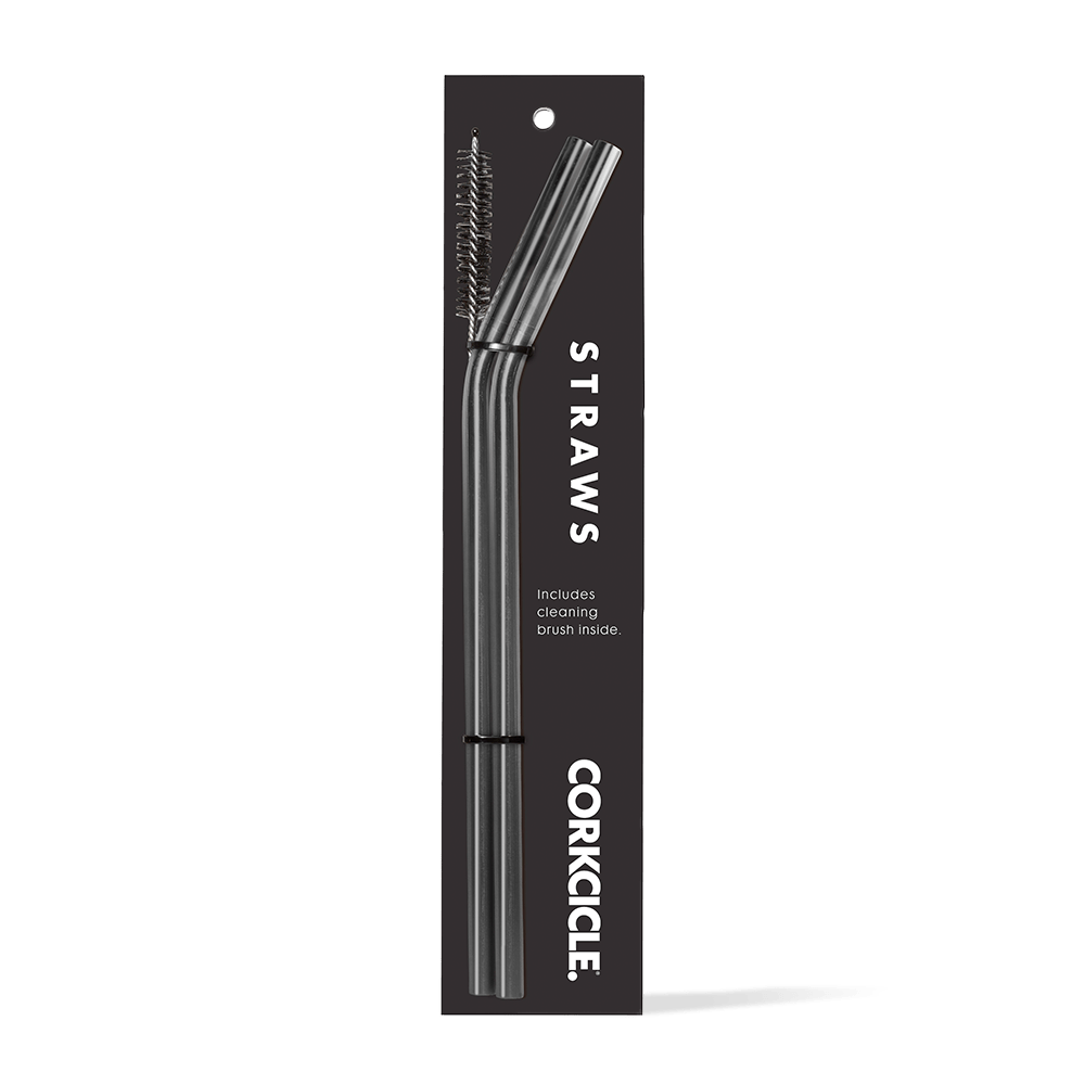 tumbler-straw-2-pack-x3 gunmetal.png